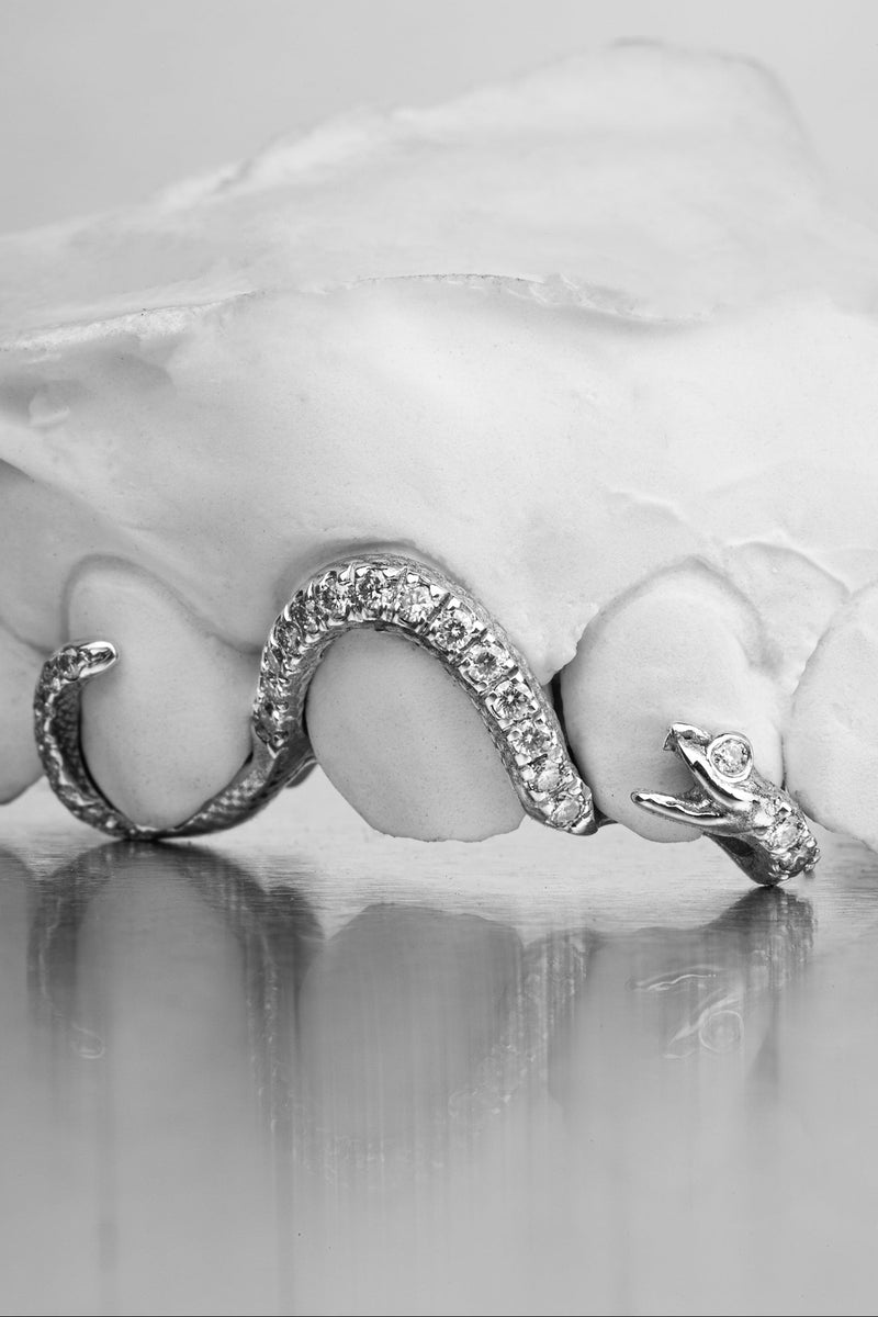 Serpent Serti