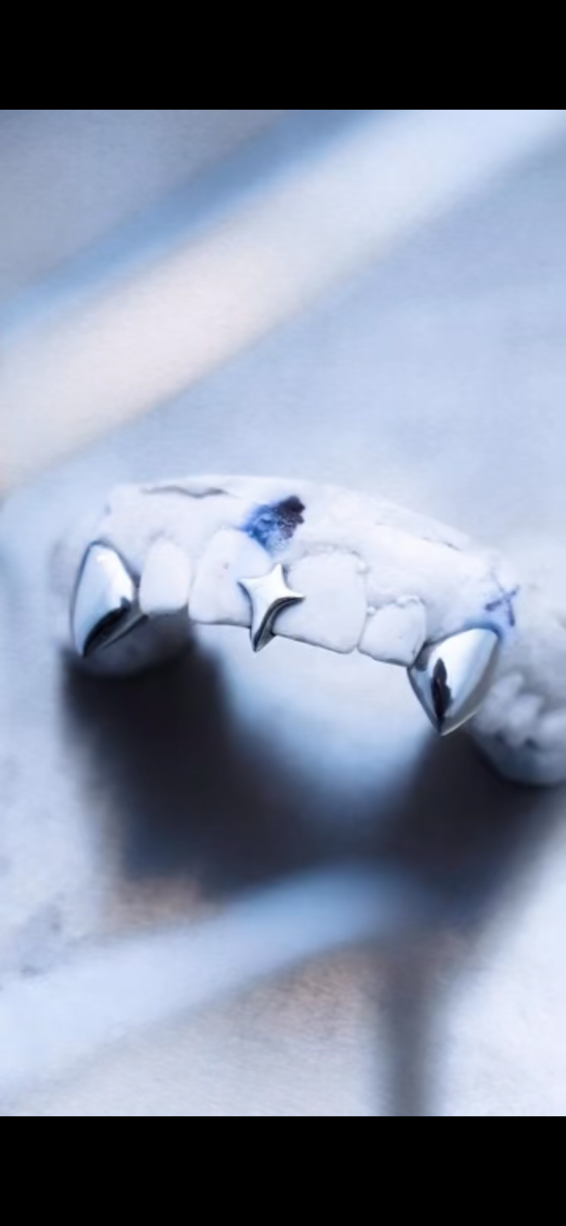 Canines Vamp + Inter Étoile
