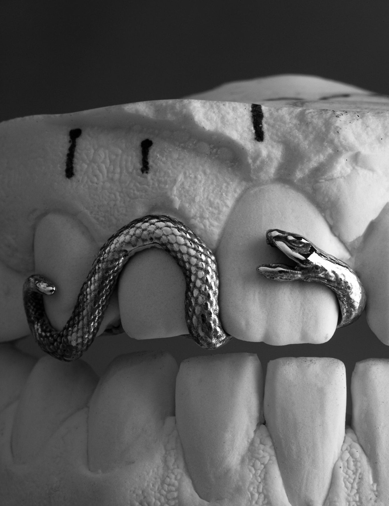 Serpent - Grillz 3 Dents Yell Lab