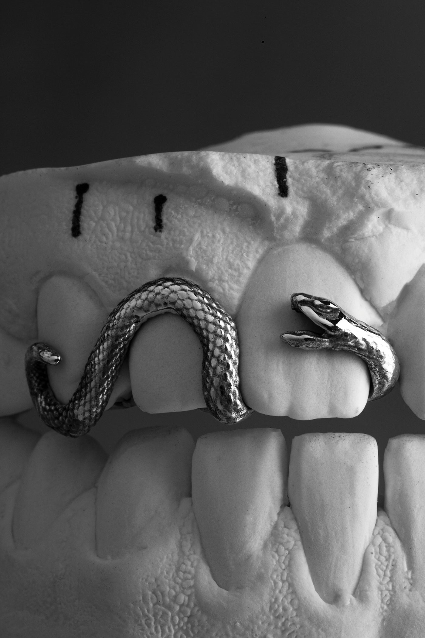Serpent - Grillz 3 Dents Yell Lab